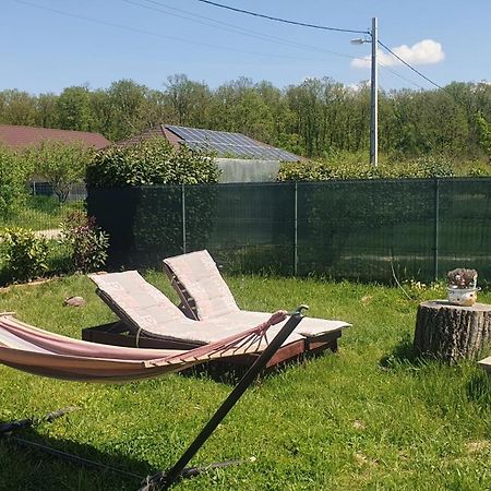 Forest Relax Near Oradea -Pet Friendly Les Exterior photo